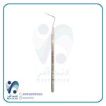 هند پلاگر 1973