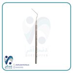 هند پلاگر 1974